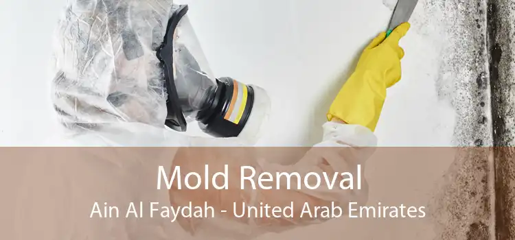 Mold Removal Ain Al Faydah - United Arab Emirates