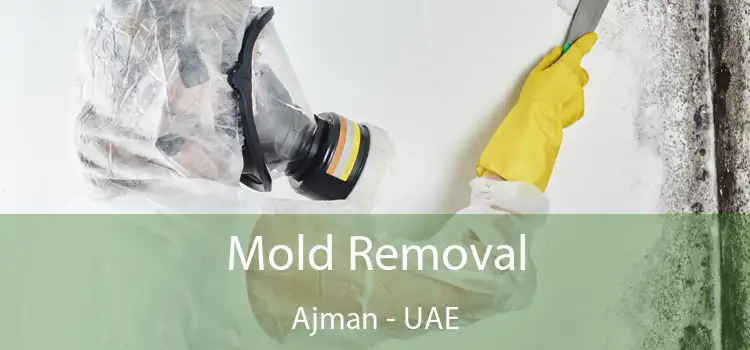  Mold Removal Ajman - UAE