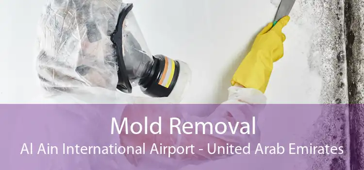 Mold Removal Al Ain International Airport - United Arab Emirates