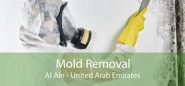 Mold Removal Al Ain - United Arab Emirates
