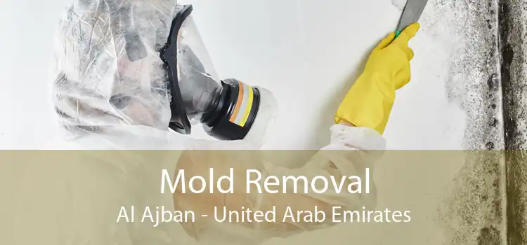 Mold Removal Al Ajban - United Arab Emirates