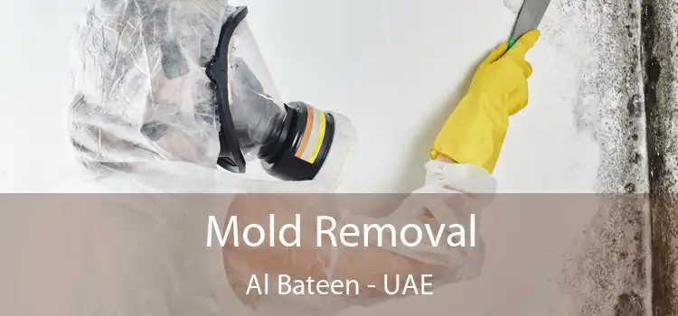  Mold Removal Al Bateen - UAE