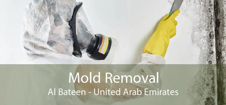 Mold Removal Al Bateen - United Arab Emirates