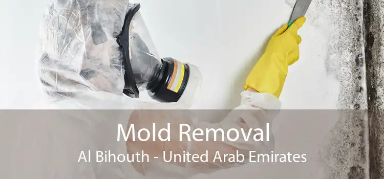 Mold Removal Al Bihouth - United Arab Emirates