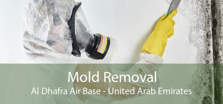 Mold Removal Al Dhafra Air Base - United Arab Emirates