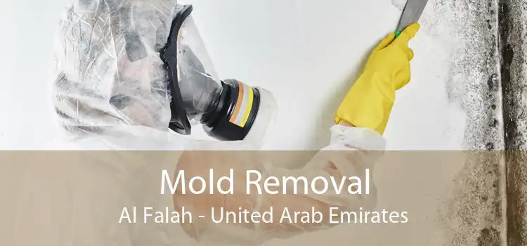Mold Removal Al Falah - United Arab Emirates