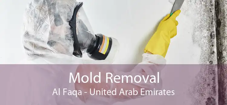 Mold Removal Al Faqa - United Arab Emirates