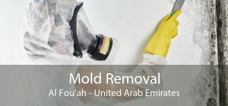 Mold Removal Al Fou'ah - United Arab Emirates