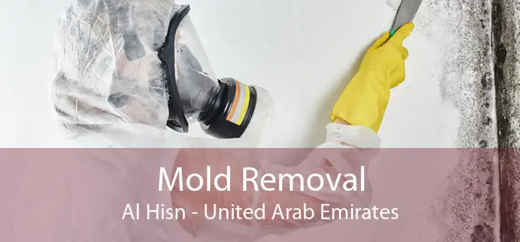 Mold Removal Al Hisn - United Arab Emirates