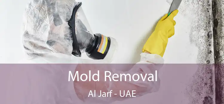 Mold Removal Al Jarf - UAE