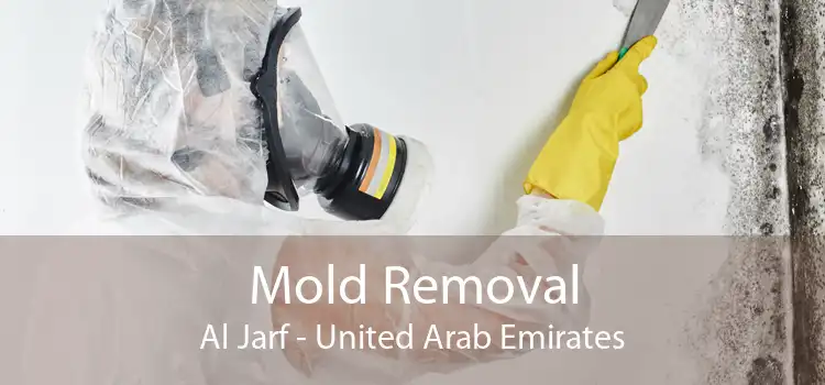 Mold Removal Al Jarf - United Arab Emirates