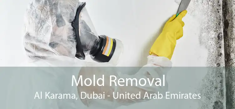 Mold Removal Al Karama, Dubai - United Arab Emirates