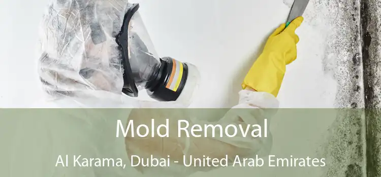 Mold Removal Al Karama, Dubai - United Arab Emirates