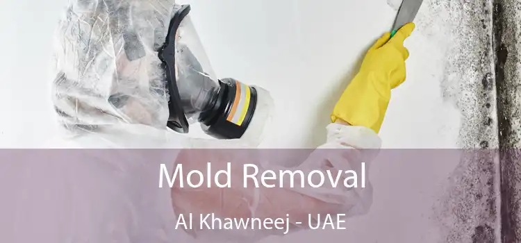  Mold Removal Al Khawneej - UAE