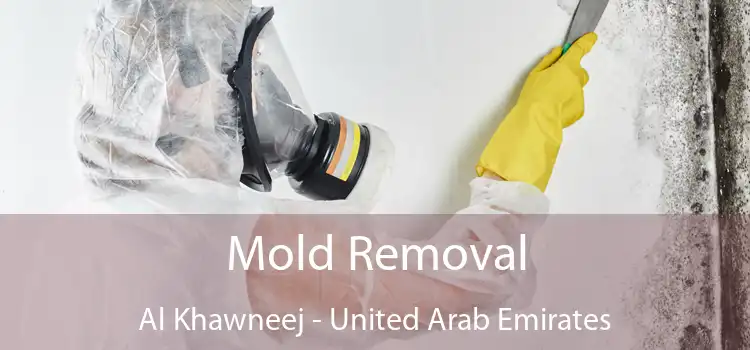 Mold Removal Al Khawneej - United Arab Emirates