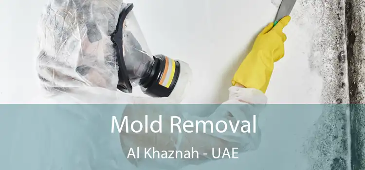  Mold Removal Al Khaznah - UAE