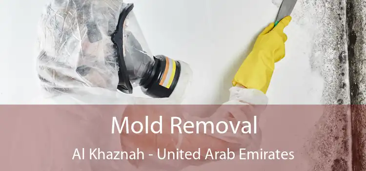 Mold Removal Al Khaznah - United Arab Emirates