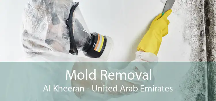 Mold Removal Al Kheeran - United Arab Emirates