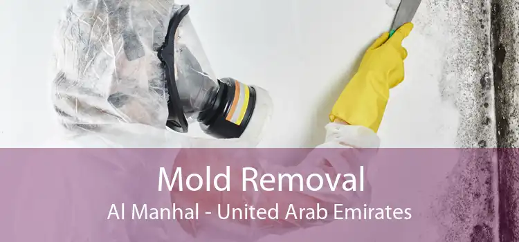 Mold Removal Al Manhal - United Arab Emirates