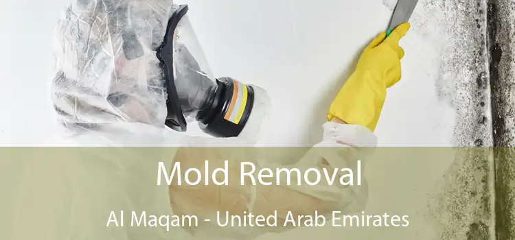 Mold Removal Al Maqam - United Arab Emirates