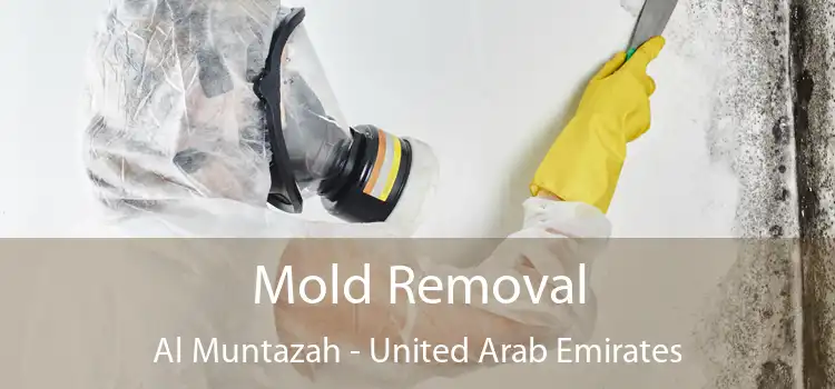 Mold Removal Al Muntazah - United Arab Emirates