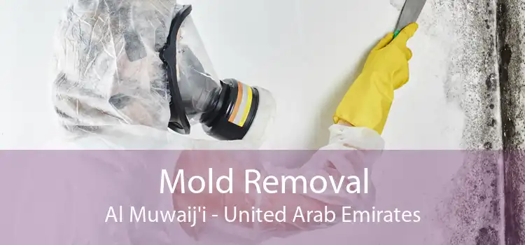 Mold Removal Al Muwaij'i - United Arab Emirates