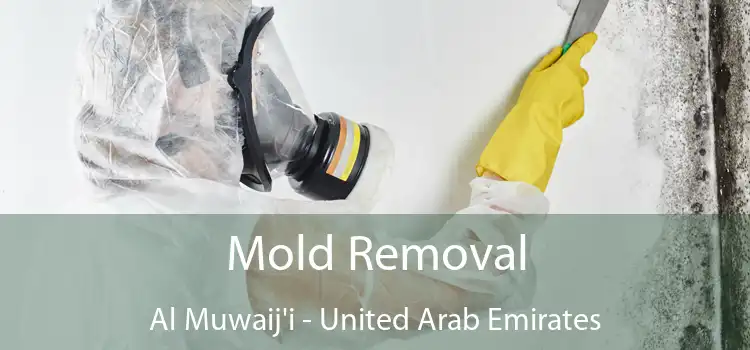 Mold Removal Al Muwaij'i - United Arab Emirates