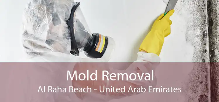 Mold Removal Al Raha Beach - United Arab Emirates