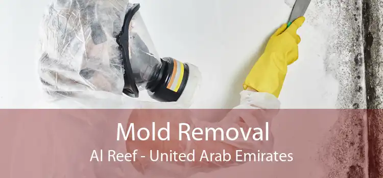 Mold Removal Al Reef - United Arab Emirates