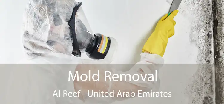 Mold Removal Al Reef - United Arab Emirates