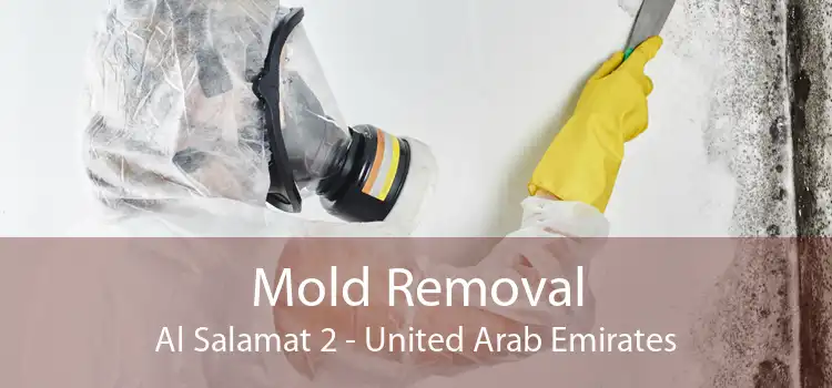 Mold Removal Al Salamat 2 - United Arab Emirates