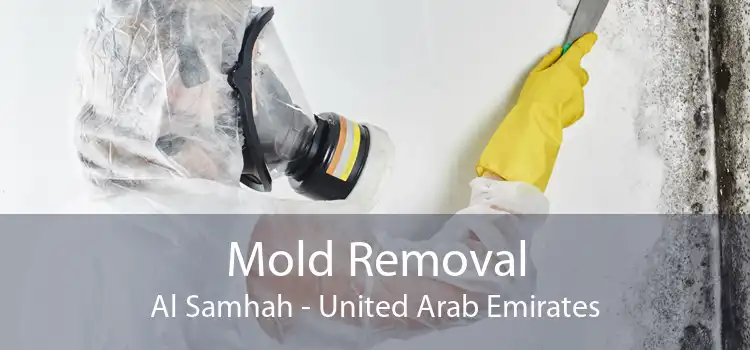 Mold Removal Al Samhah - United Arab Emirates