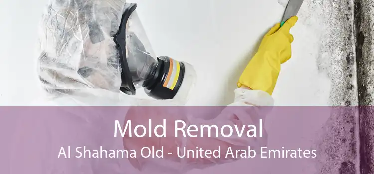 Mold Removal Al Shahama Old - United Arab Emirates