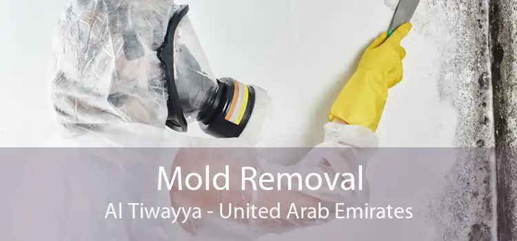 Mold Removal Al Tiwayya - United Arab Emirates