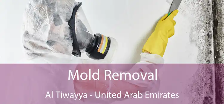 Mold Removal Al Tiwayya - United Arab Emirates