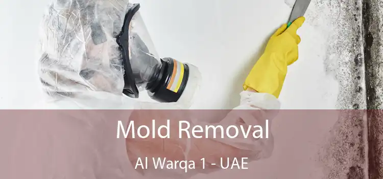  Mold Removal Al Warqa 1 - UAE