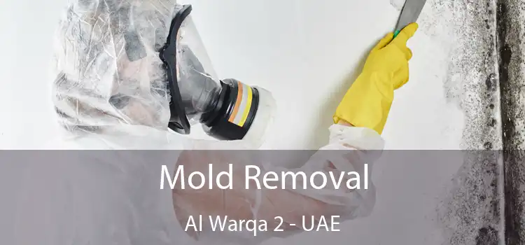  Mold Removal Al Warqa 2 - UAE