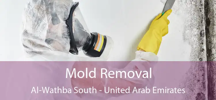 Mold Removal Al-Wathba South - United Arab Emirates