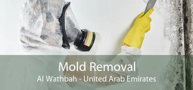 Mold Removal Al Wathbah - United Arab Emirates