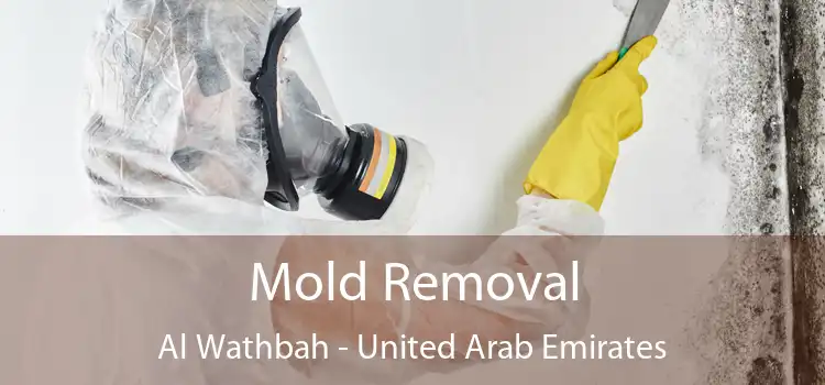 Mold Removal Al Wathbah - United Arab Emirates