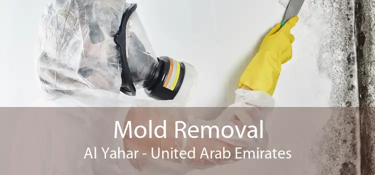 Mold Removal Al Yahar - United Arab Emirates