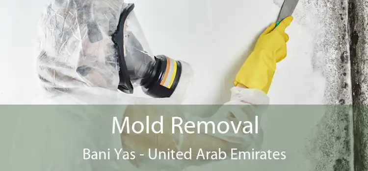 Mold Removal Bani Yas - United Arab Emirates