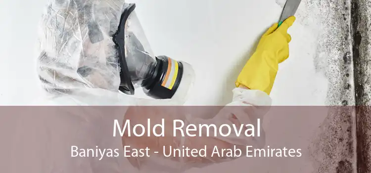Mold Removal Baniyas East - United Arab Emirates
