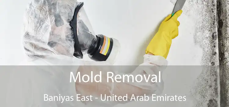 Mold Removal Baniyas East - United Arab Emirates