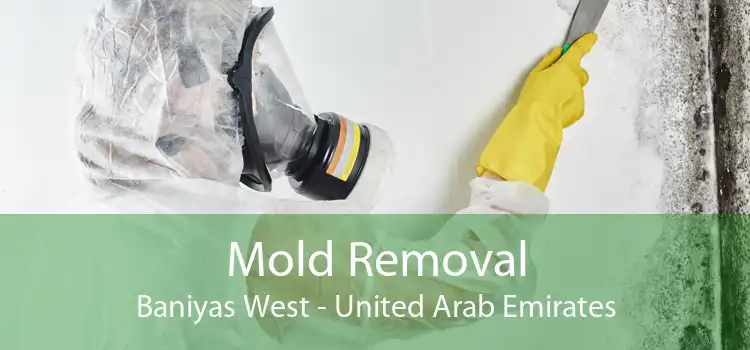Mold Removal Baniyas West - United Arab Emirates