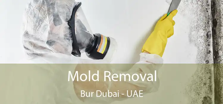  Mold Removal Bur Dubai - UAE