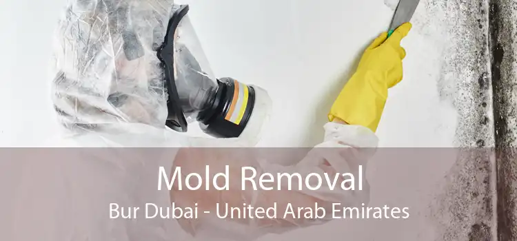 Mold Removal Bur Dubai - United Arab Emirates