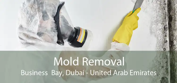 Mold Removal Business  Bay, Dubai - United Arab Emirates