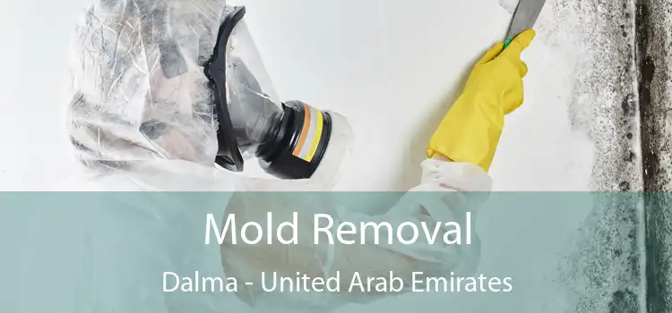 Mold Removal Dalma - United Arab Emirates