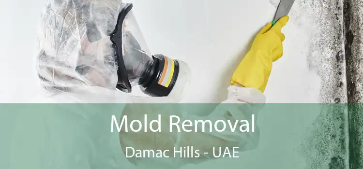  Mold Removal Damac Hills - UAE